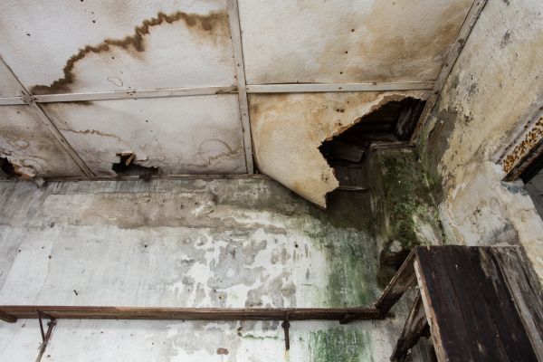 Water Damage Service in Mill Valley