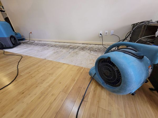 Cost of Water Damage Mitigation in Mill Valley