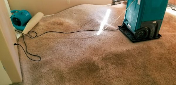 Flood Damage Cleanup in Mill Valley