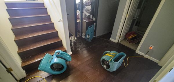 Water Damage Remediation in Mill Valley