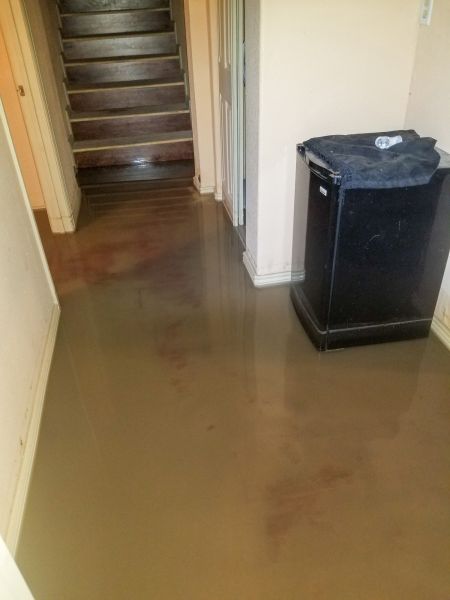 Emergency Water Removal in Mill Valley