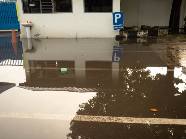 Storm Damage Repair in Mill Valley
