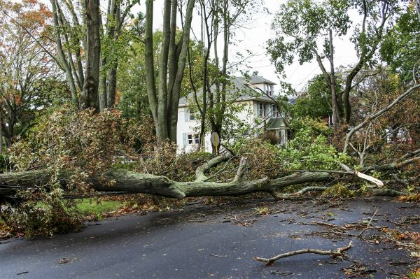 Tornado Damage Repair