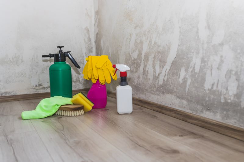 Mold Prevention Strategies